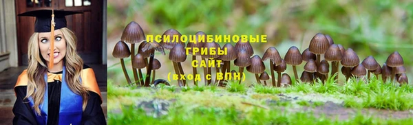спиды Армянск