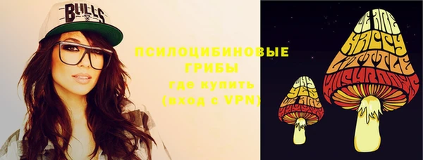спайс Арсеньев