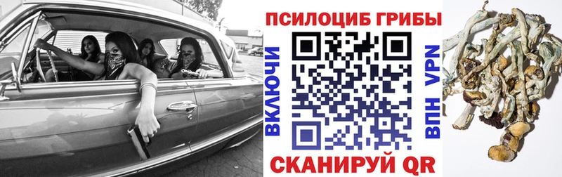 Псилоцибиновые грибы Magic Shrooms  где найти   Кинель 