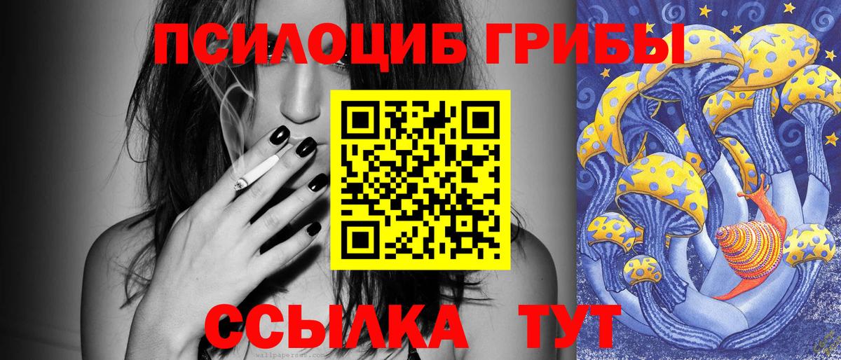 Псилоцибиновые грибы мицелий  Вход с VPN  Кинель  где продают наркотики  Галлюциногенные грибы Magic Shrooms 