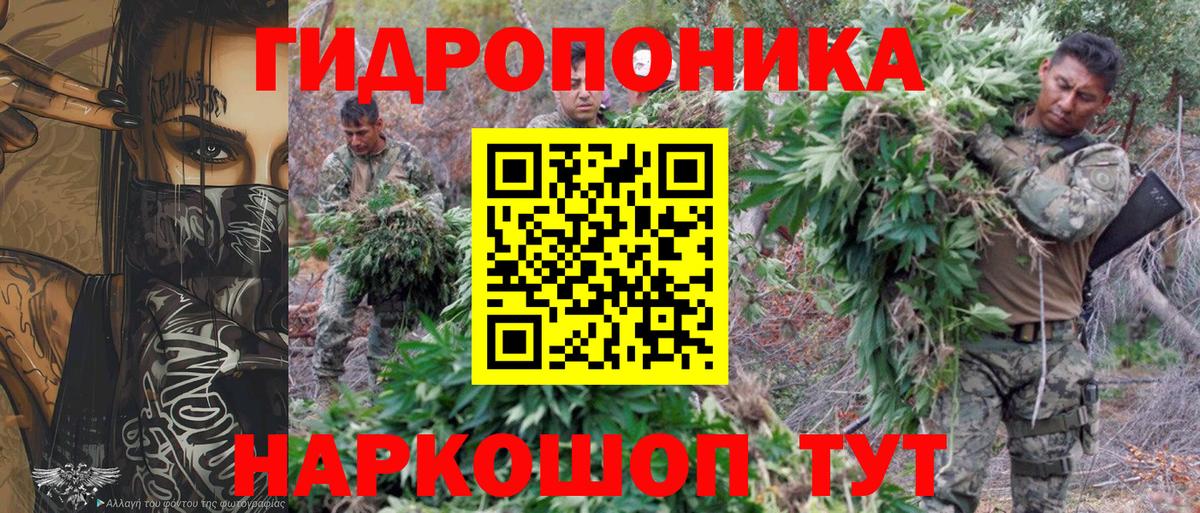 Бошки марихуана план  Конопля Bruce Banner  Вход с VPN  Кинель  Каннабис ГИДРОПОН 